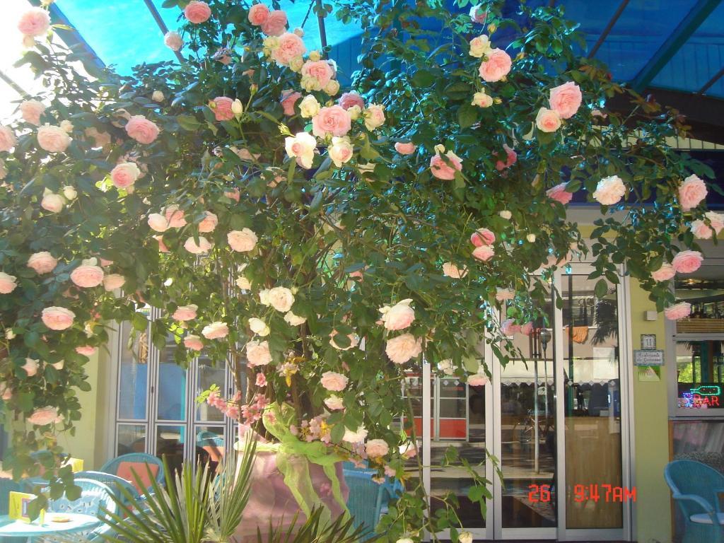 Hotel Da Giovanna Lignano Sabbiadoro Extérieur photo